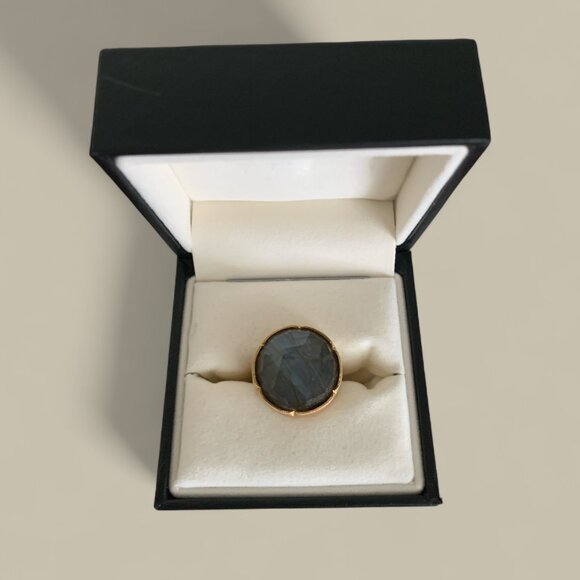 Irene Neuwirth large round rose-cut rainbow labrodorite in 18k rose gold ring - Picture 2 of 7